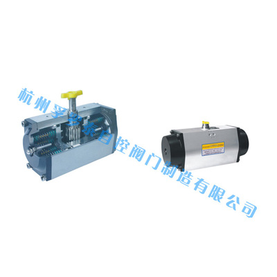 FI Series Pneumatic Actuator